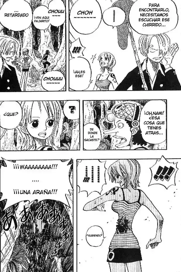 One Piece Capítulo 230 - Página 12 en español