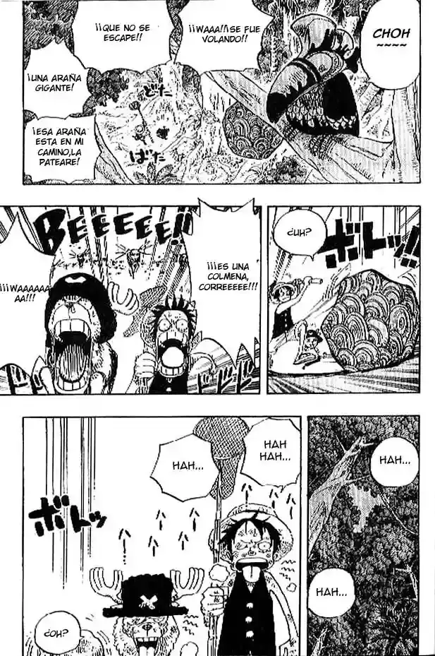 One Piece Capítulo 230 - Página 17 en español