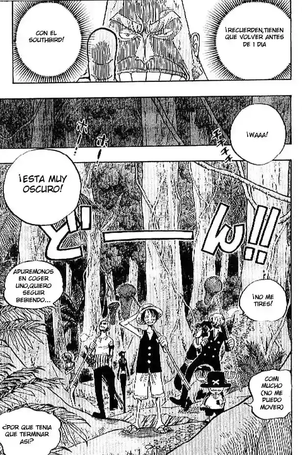 One Piece Capítulo 230 - Página 9 en español