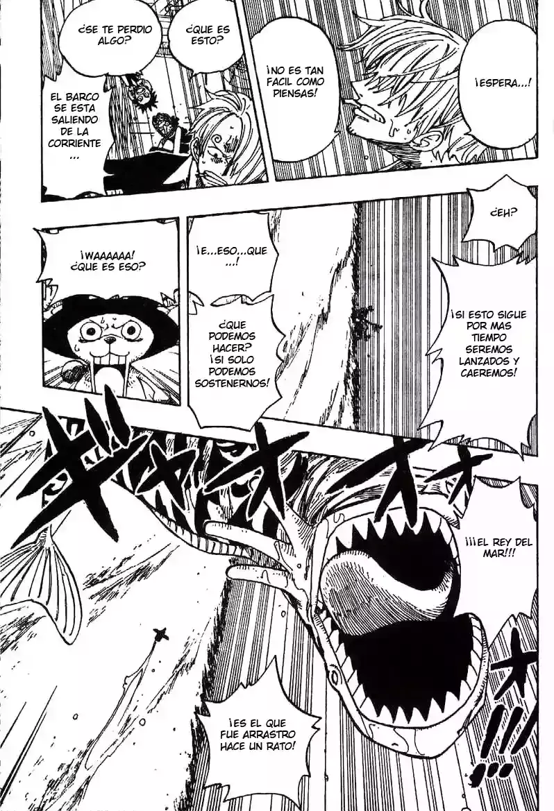 One Piece Capítulo 236 - Página 14 en español