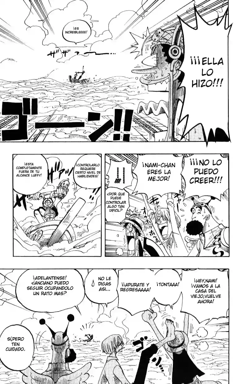 One Piece Capítulo 240 - Página 5 en español