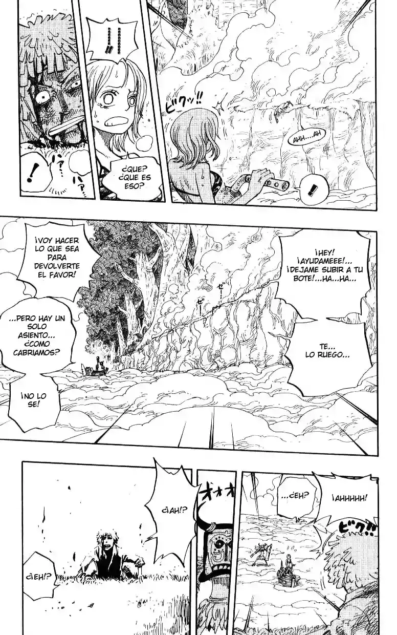 One Piece Capítulo 241 - Página 10 en español