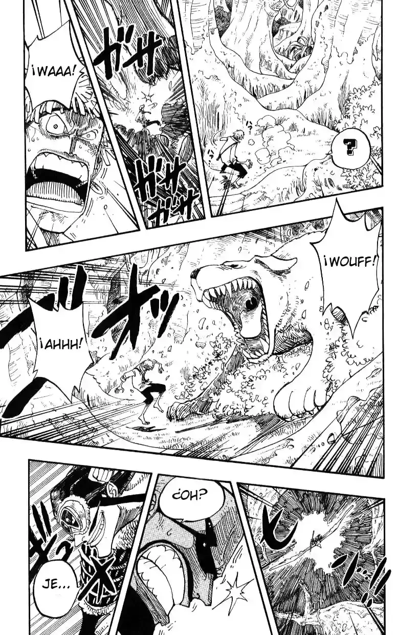 One Piece Capítulo 241 - Página 6 en español