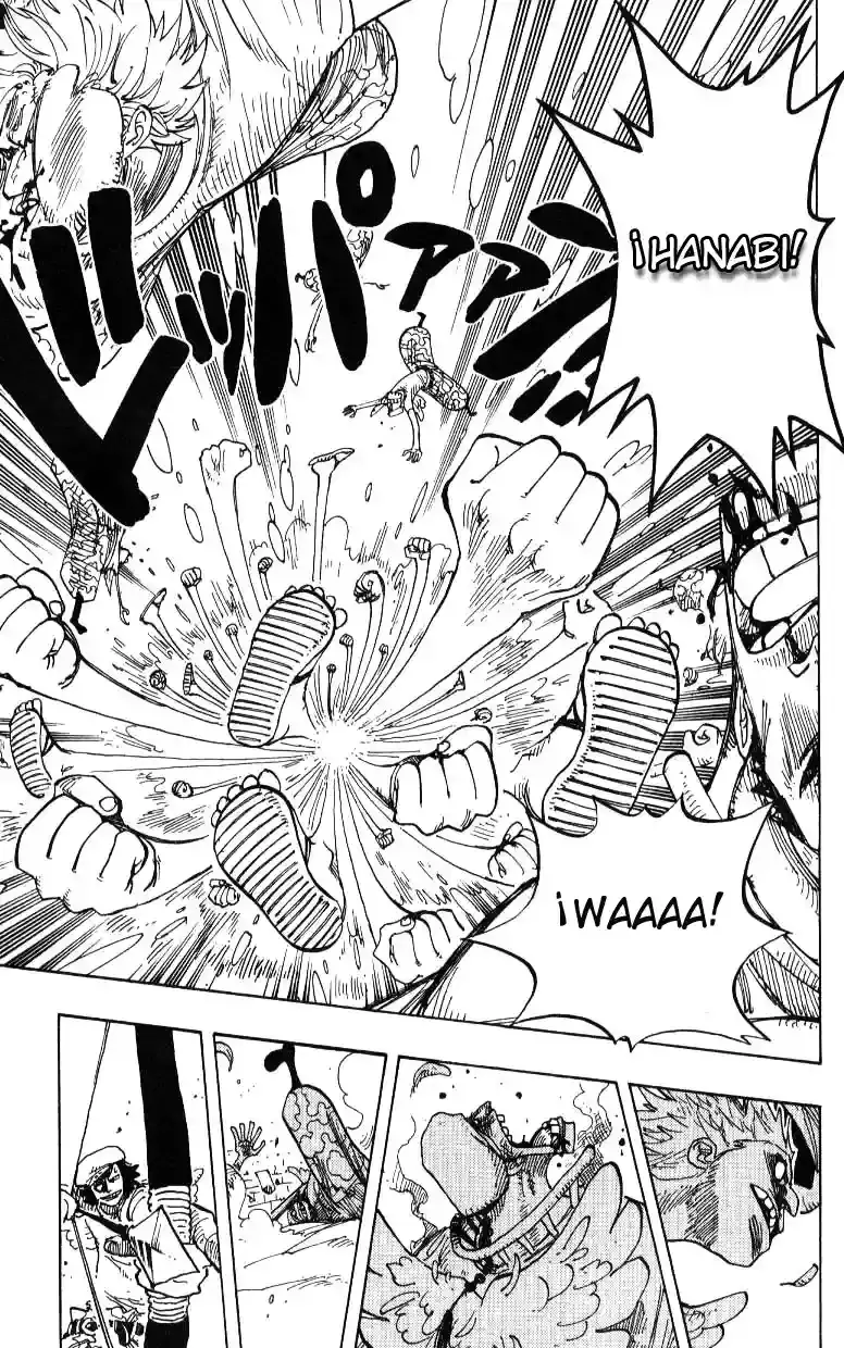 One Piece Capítulo 242 - Página 15 en español