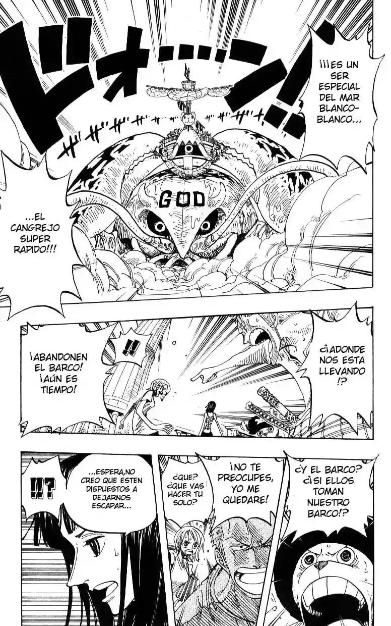 One Piece Capítulo 243 - Página 11 en español