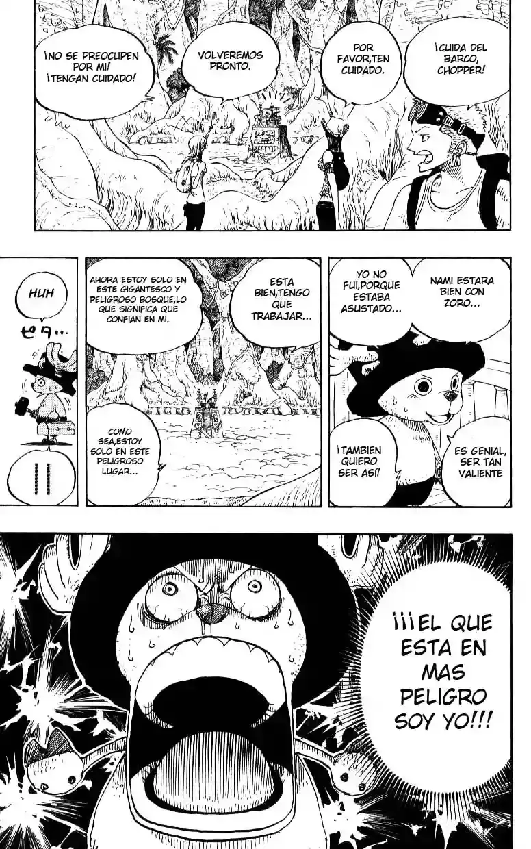 One Piece Capítulo 245 - Página 17 en español