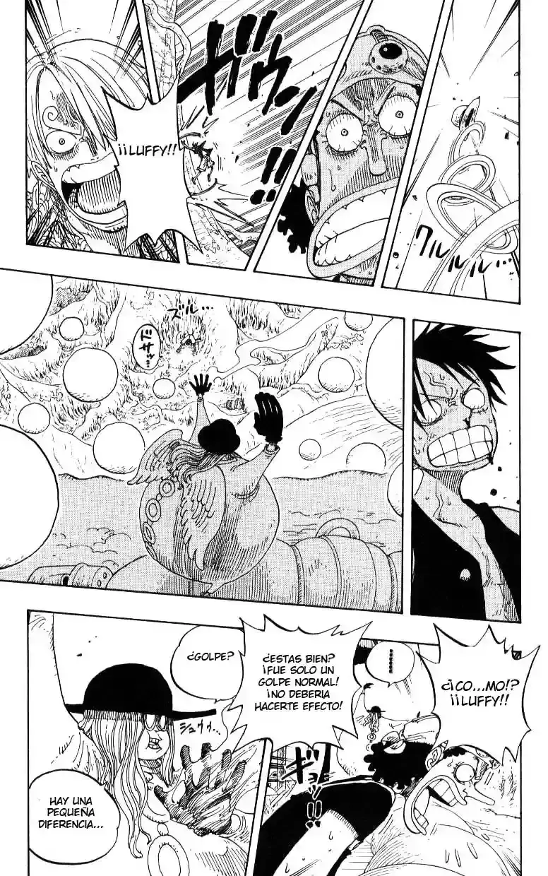 One Piece Capítulo 246 - Página 15 en español
