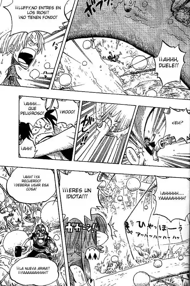 One Piece Capítulo 247 - Página 13 en español