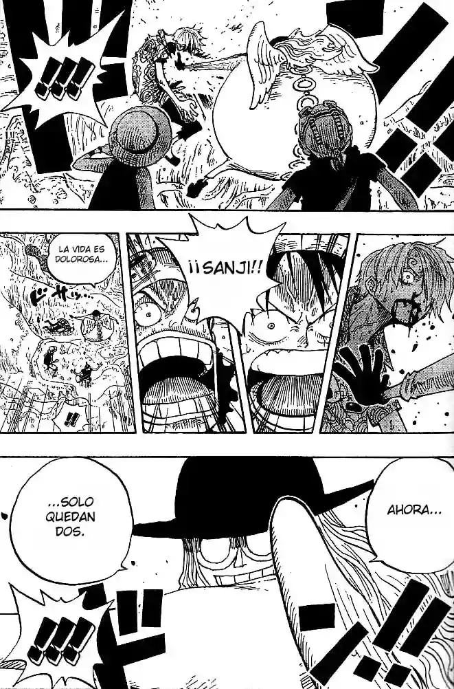 One Piece Capítulo 247 - Página 17 en español