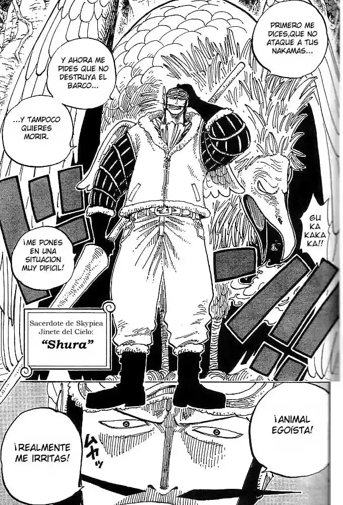 One Piece Capítulo 248 - Página 11 en español