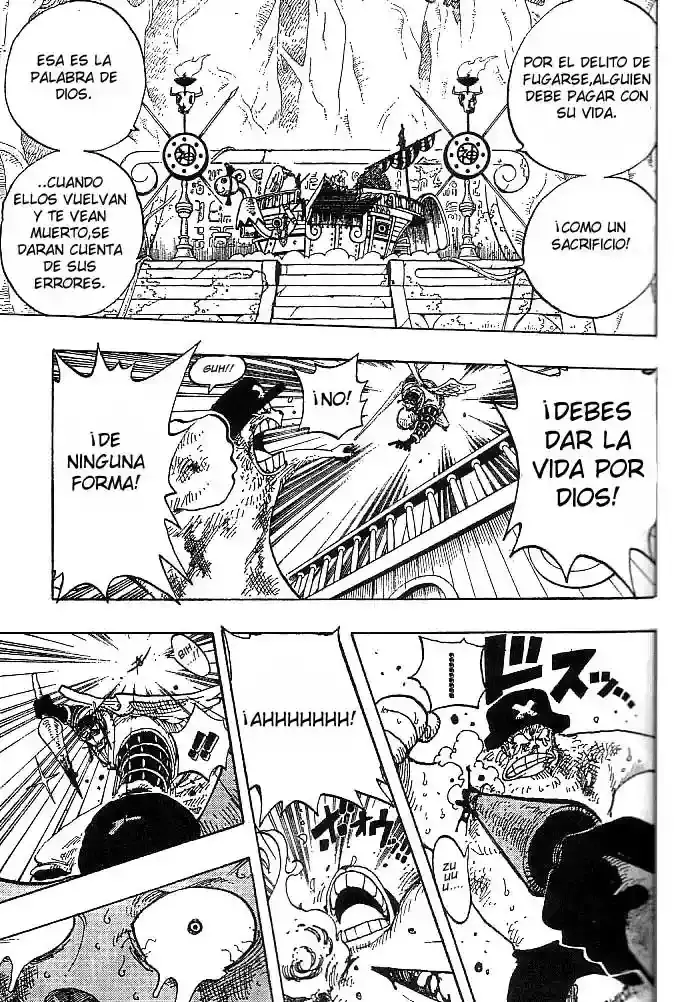 One Piece Capítulo 248 - Página 15 en español