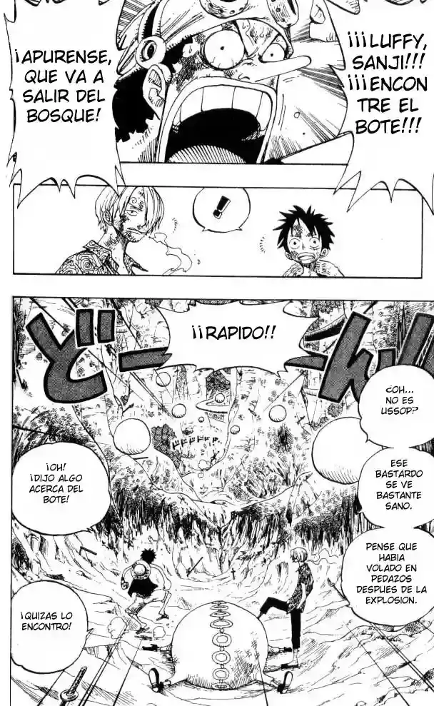 One Piece Capítulo 251 - Página 4 en español