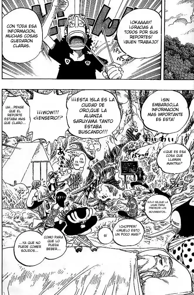 One Piece Capítulo 252 - Página 18 en español
