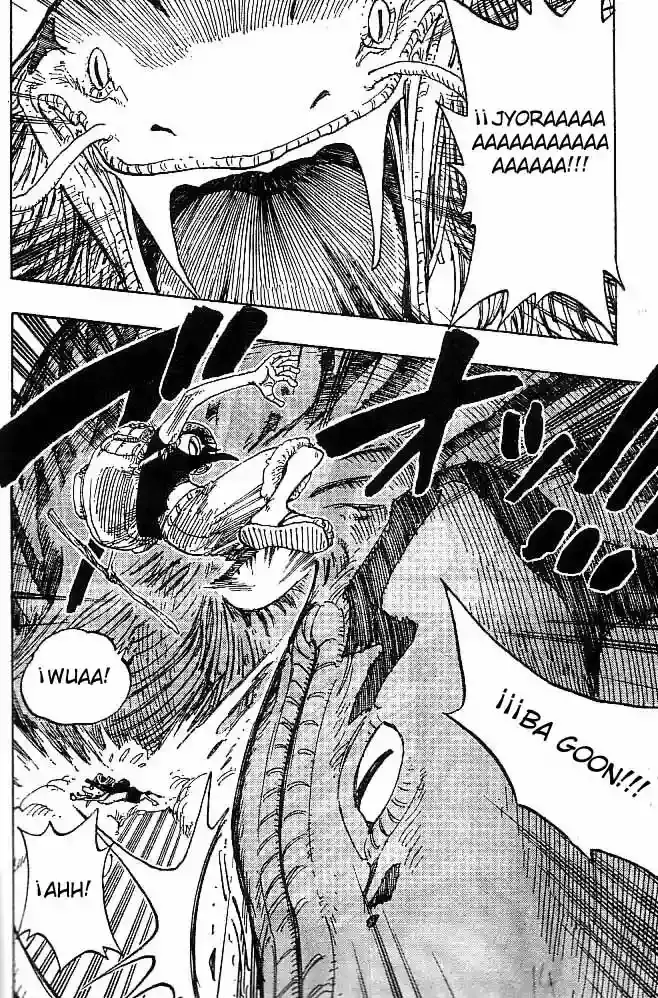 One Piece Capítulo 255 - Página 14 en español