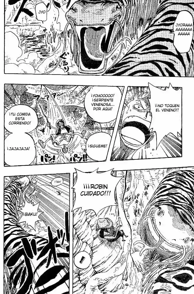 One Piece Capítulo 255 - Página 16 en español
