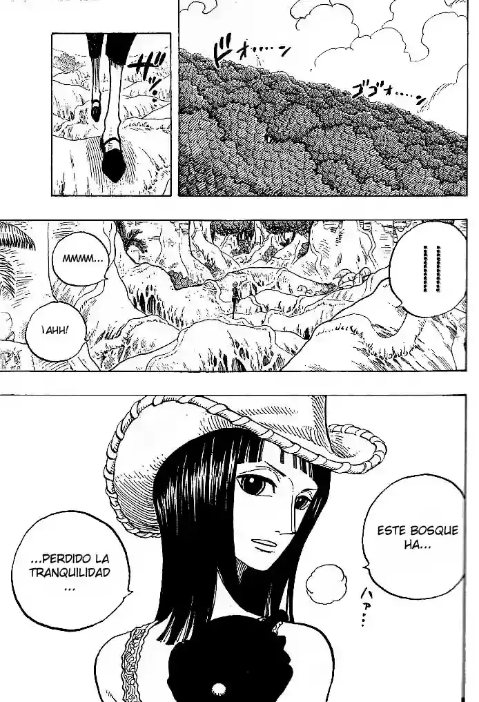 One Piece Capítulo 258 - Página 7 en español