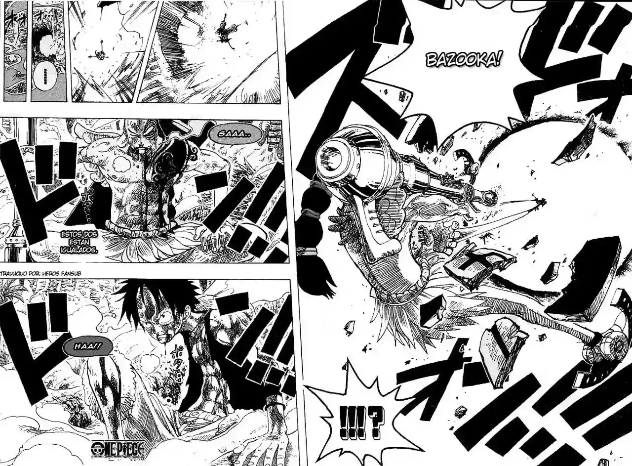 One Piece Capítulo 260 - Página 15 en español