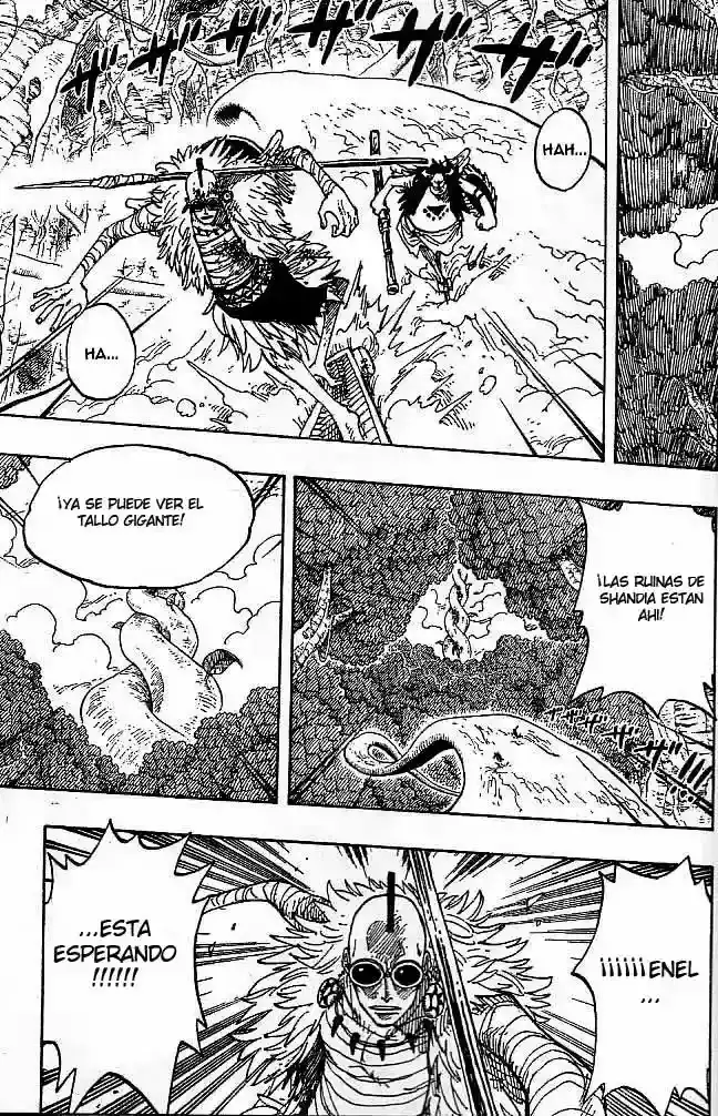 One Piece Capítulo 263 - Página 5 en español