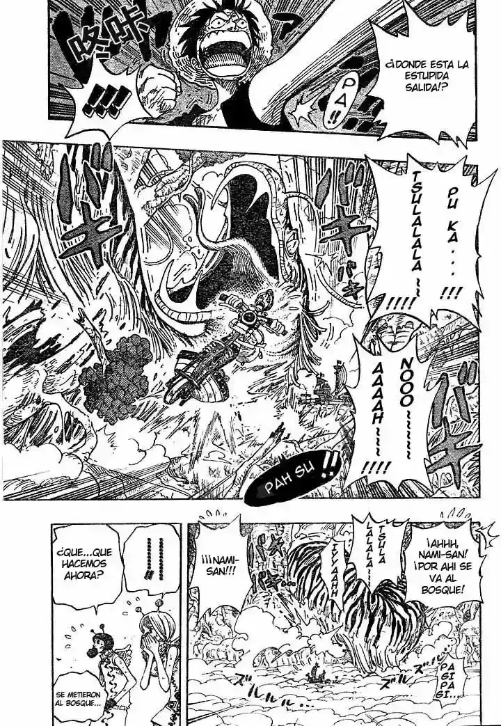 One Piece Capítulo 267 - Página 5 en español