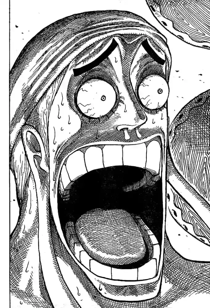 One Piece Capítulo 279 - Página 16 en español