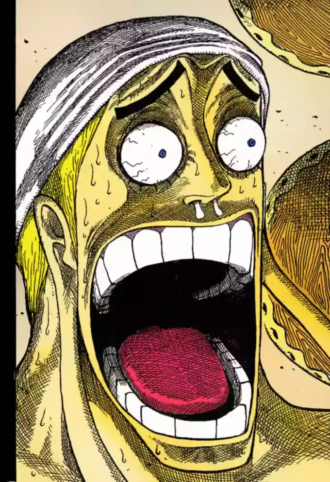 One Piece Capítulo 279 - Página 17 en español