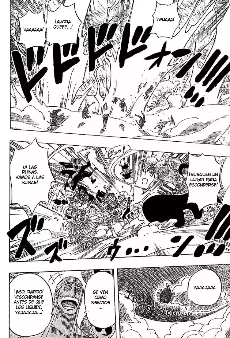 One Piece Capítulo 295 - Página 16 en español