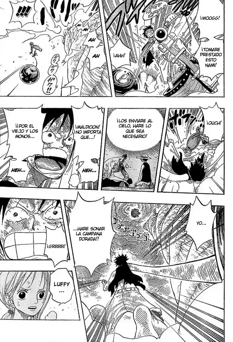 One Piece Capítulo 295 - Página 5 en español