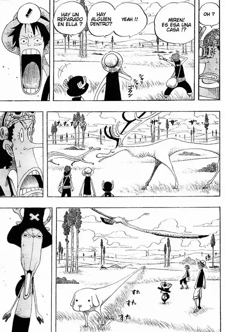 One Piece Capítulo 304 - Página 13 en español