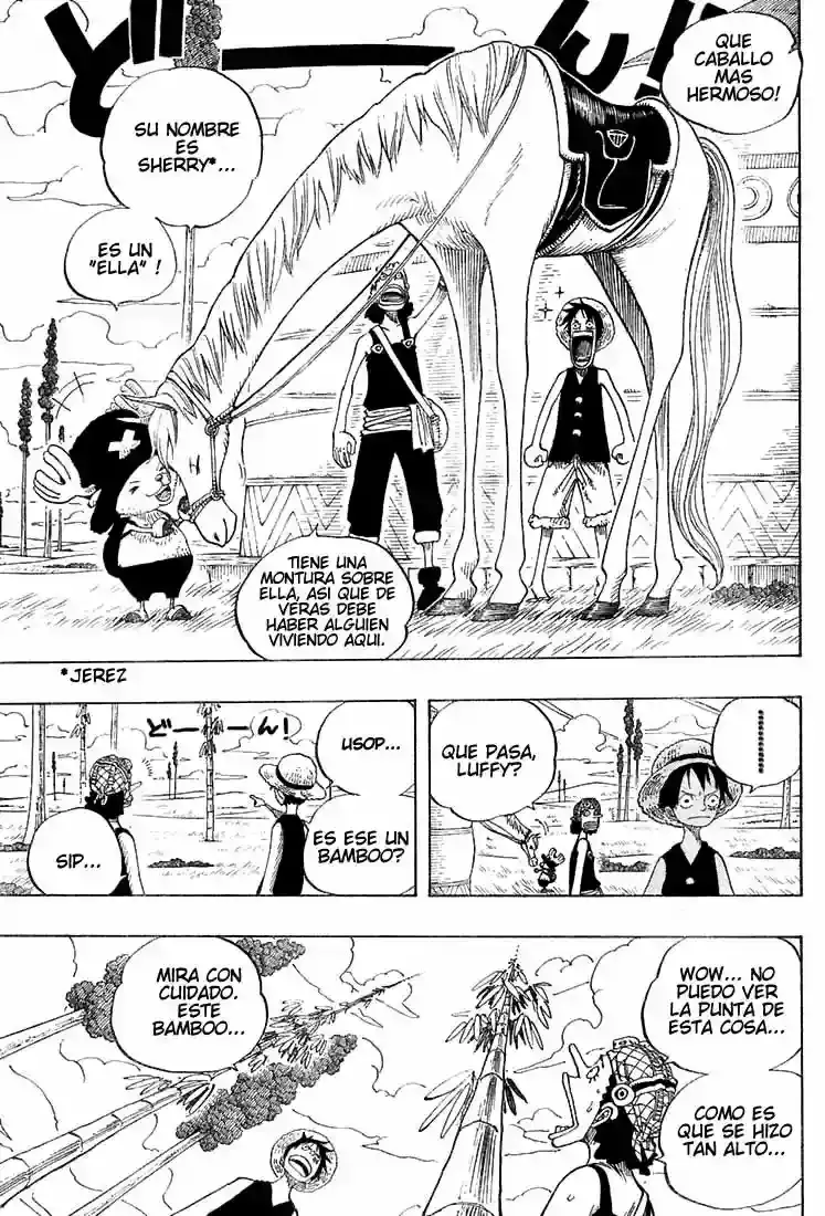 One Piece Capítulo 304 - Página 15 en español