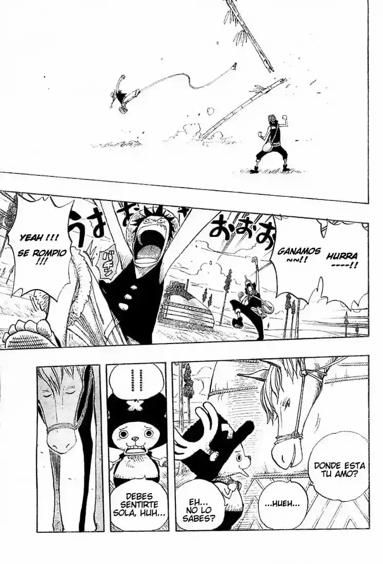 One Piece Capítulo 304 - Página 17 en español