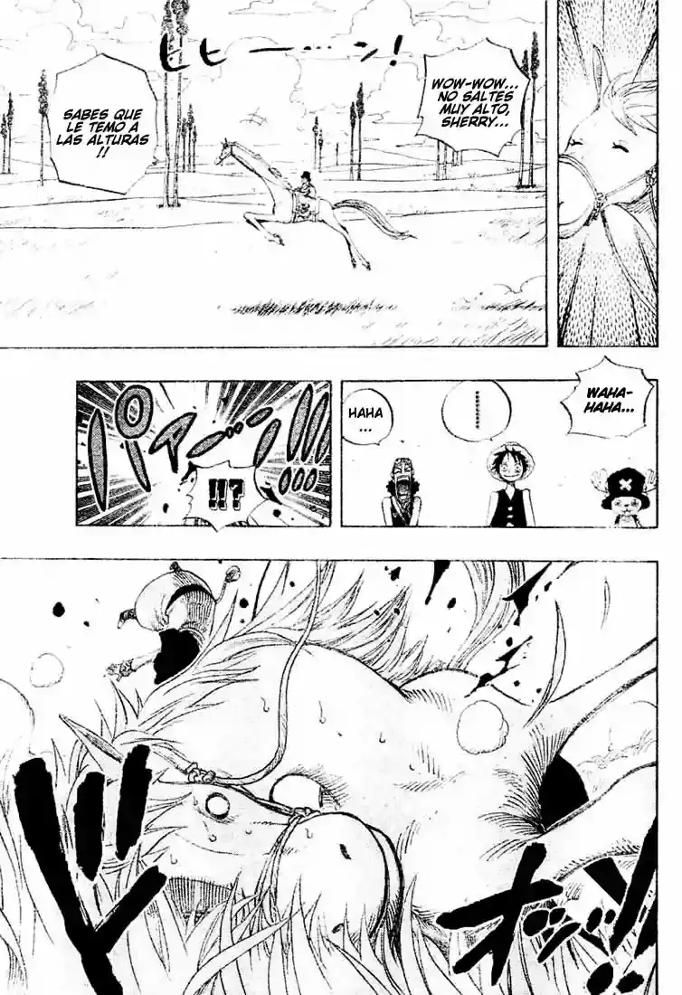 One Piece Capítulo 305 - Página 13 en español