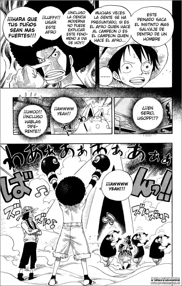One Piece Capítulo 314 - Página 3 en español