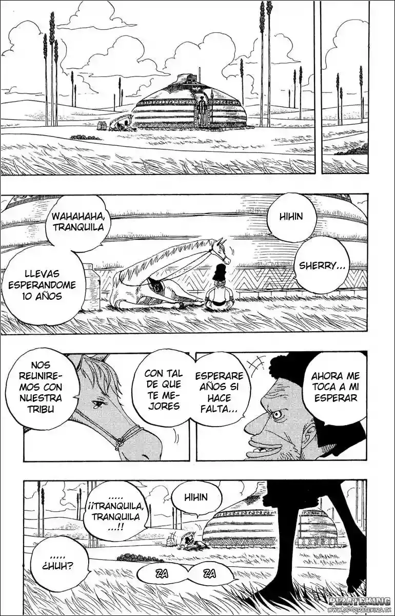 One Piece Capítulo 318 - Página 15 en español