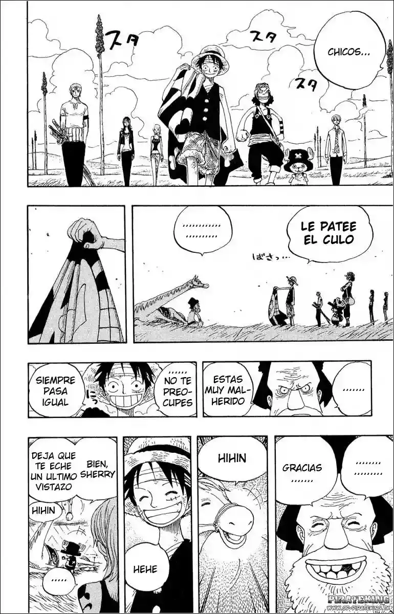 One Piece Capítulo 318 - Página 16 en español