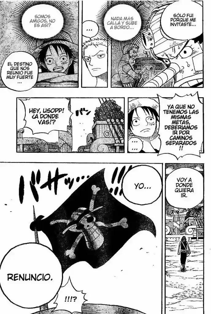 One Piece Capítulo 331 - Página 17 en español