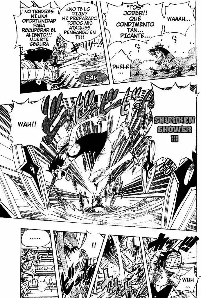 One Piece Capítulo 332 - Página 14 en español