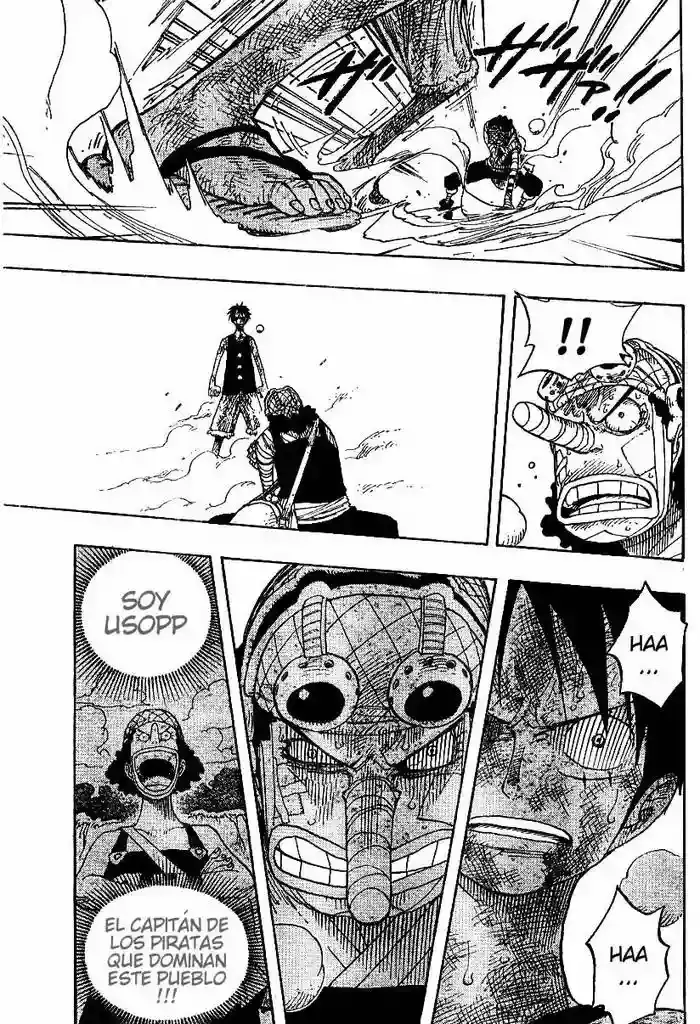 One Piece Capítulo 333 - Página 9 en español