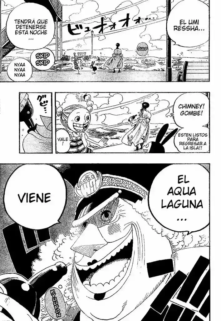One Piece Capítulo 335 - Página 5 en español