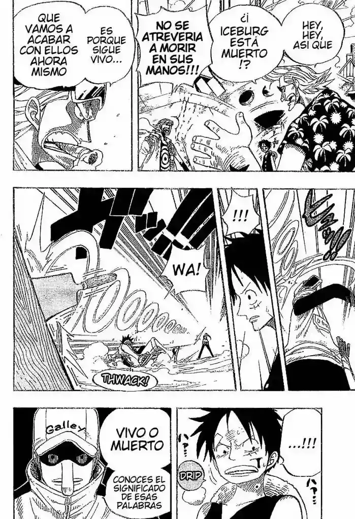 One Piece Capítulo 337 - Página 16 en español