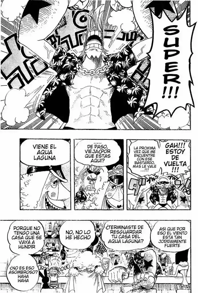 One Piece Capítulo 339 - Página 15 en español