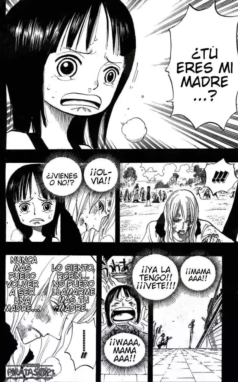 One Piece Capítulo 395 - Página 14 en español