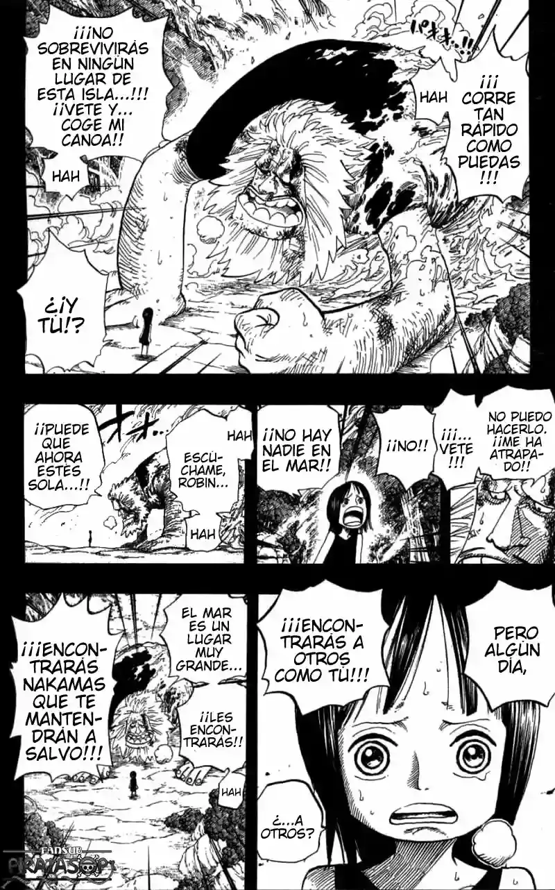 One Piece Capítulo 397 - Página 14 en español