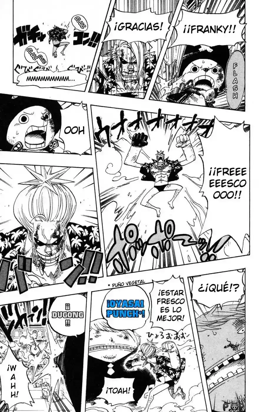 One Piece Capítulo 404 - Página 15 en español