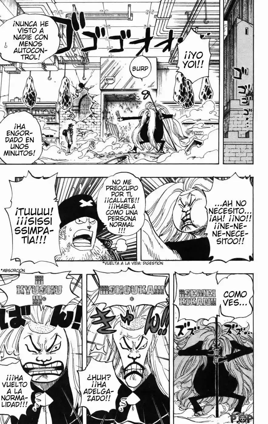 One Piece Capítulo 406 - Página 10 en español