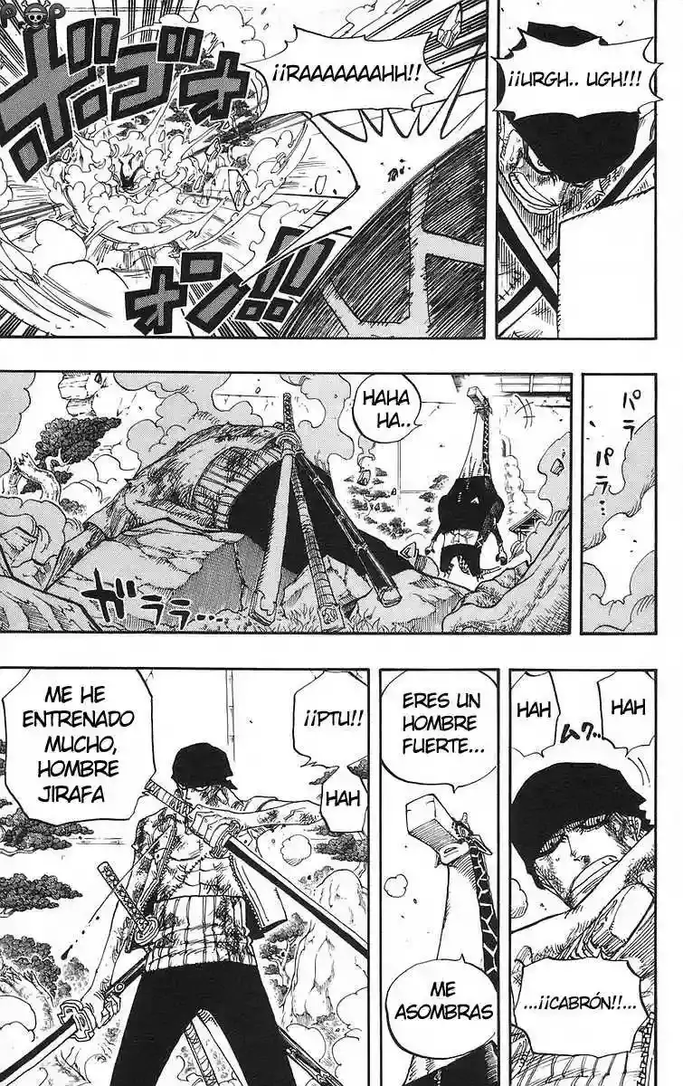 One Piece Capítulo 416 - Página 15 en español