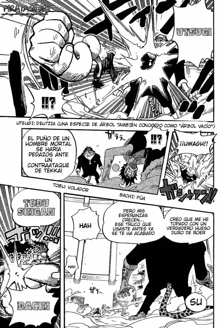 One Piece Capítulo 421 - Página 12 en español