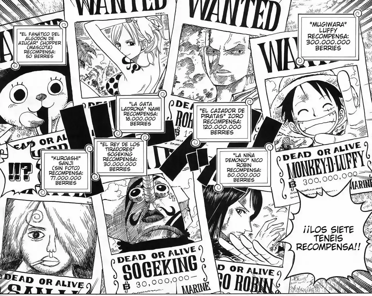One Piece Capítulo 435 - Página 16 en español