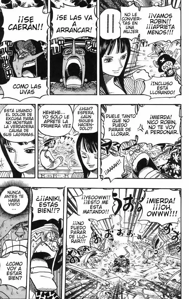 One Piece Capítulo 437 - Página 13 en español
