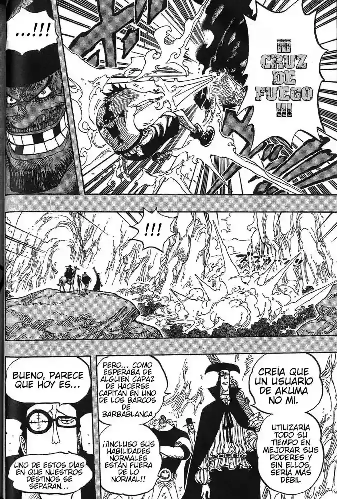 One Piece Capítulo 441 - Página 14 en español