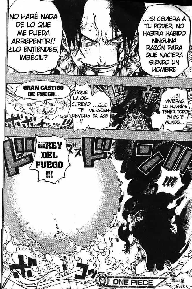 One Piece Capítulo 441 - Página 16 en español